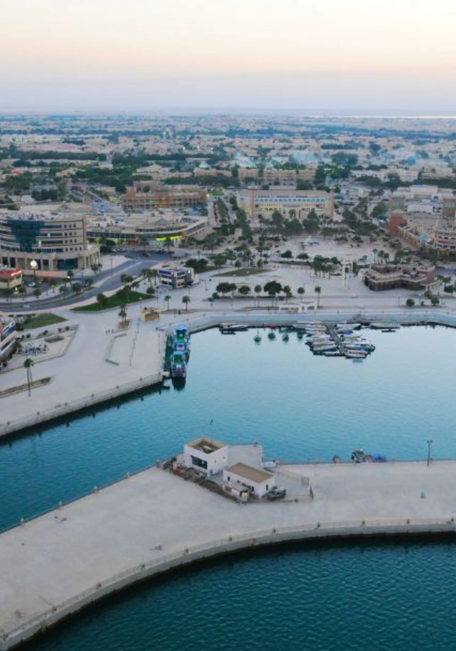 Security Services in Jubail