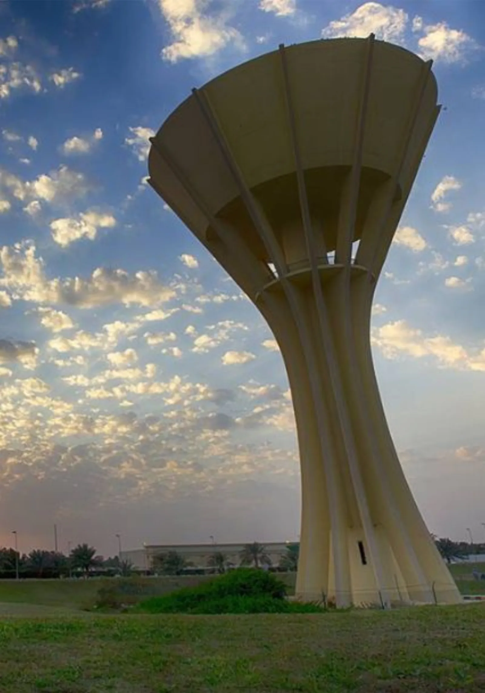 Security Services in Qatif